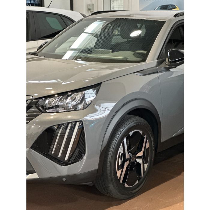Hybrid NEW 2008